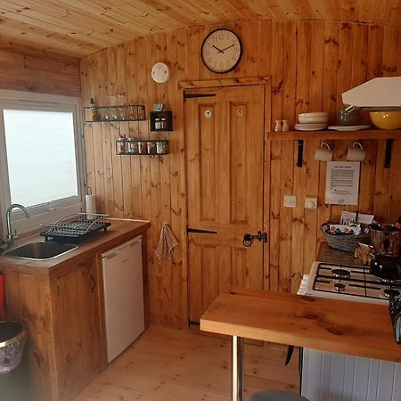 Anglesey New Modern Shepherds Hut With Spa Hot Tub Gwalchmai Exteriör bild