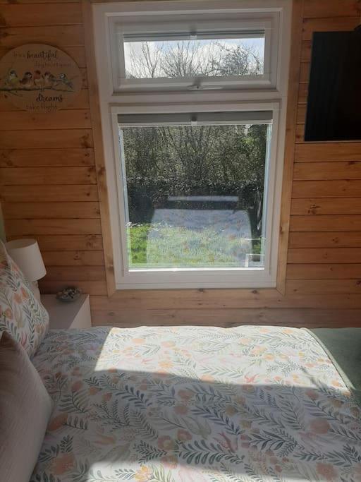 Anglesey New Modern Shepherds Hut With Spa Hot Tub Gwalchmai Exteriör bild